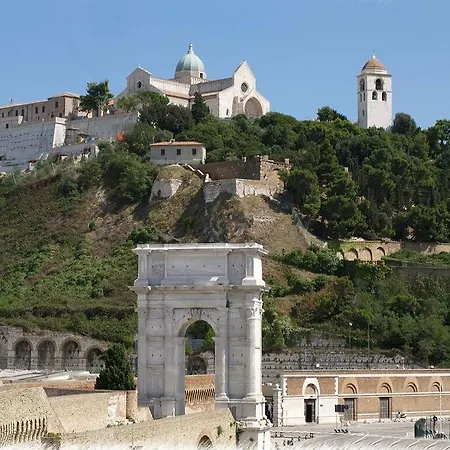 La Vite Sul Tetto Agugliano