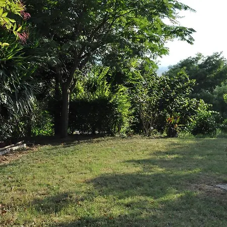 La Vite Sul Tetto * 아구글리아노