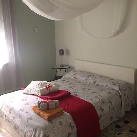 La Vite Sul Tetto *