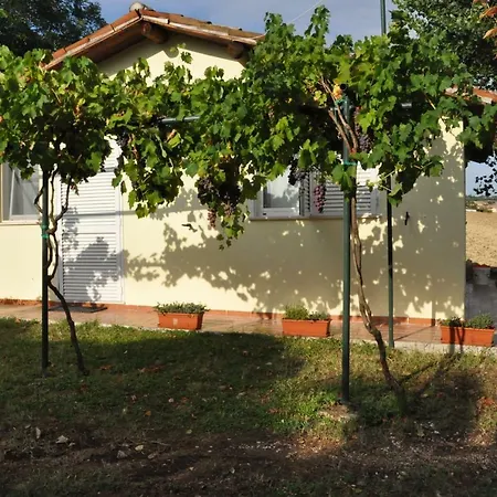 La Vite Sul Tetto بيت للعطل Agugliano